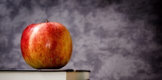 Która klasa lepsza E czy F?