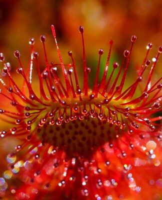 Jak używać łyżek do opon rowerowych?