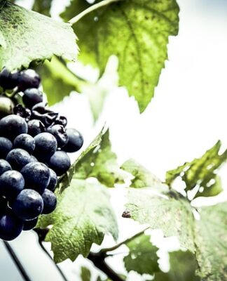 Czy lokalizator GPS może działać bez karty SIM?