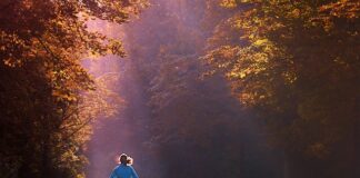 Ile kosztuje nowy Jogger?